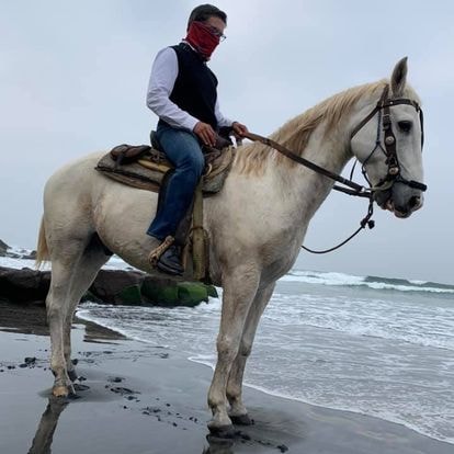 Puede ser una imagen de caballo y al aire libre