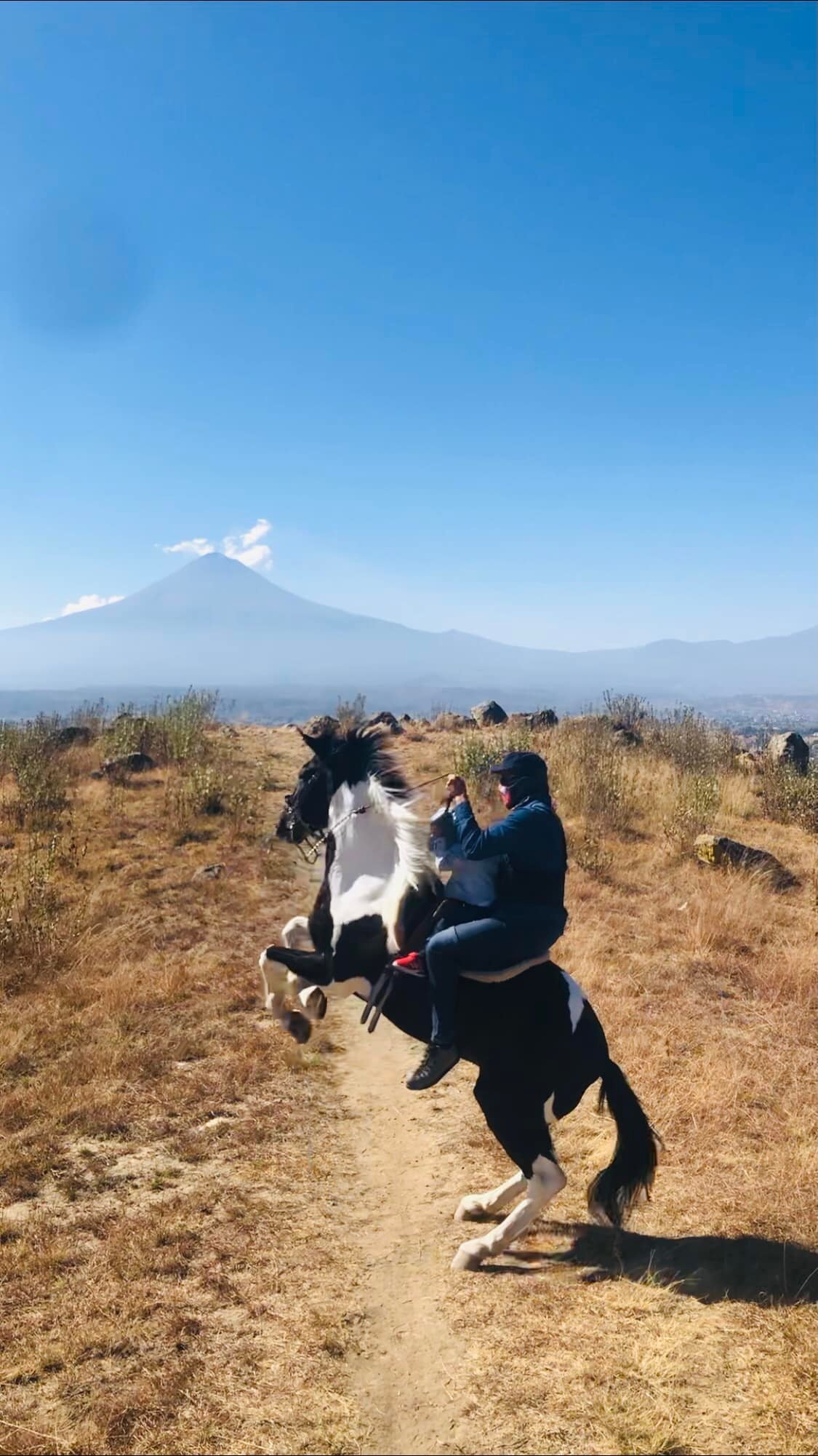 Puede ser una imagen de caballo y naturaleza